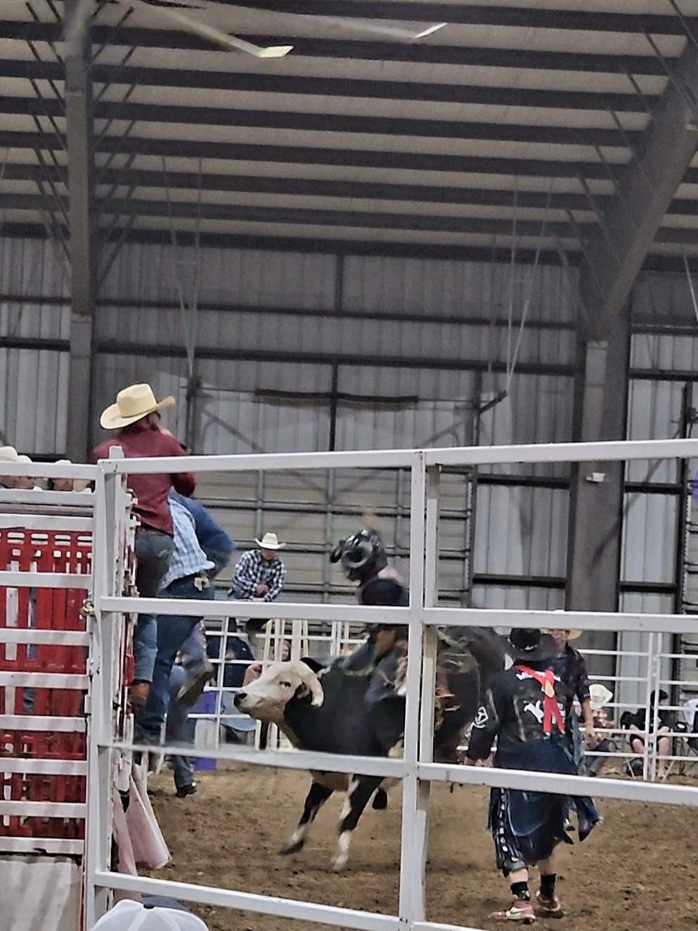 Rodeo Anyone? – Reconciliation Horsemanship